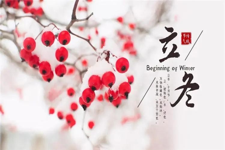 秋走冬又至，立冬啦